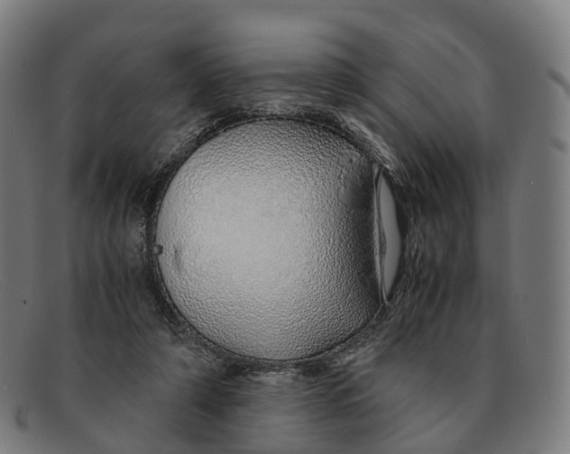 X0000091490306200709131835