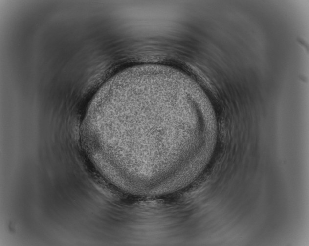 X0000091490307200709131835
