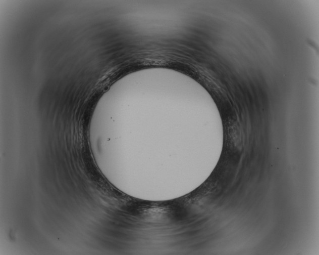 X0000091490312200709131835