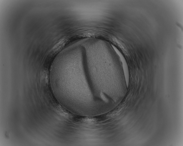 X0000091490313200709131835