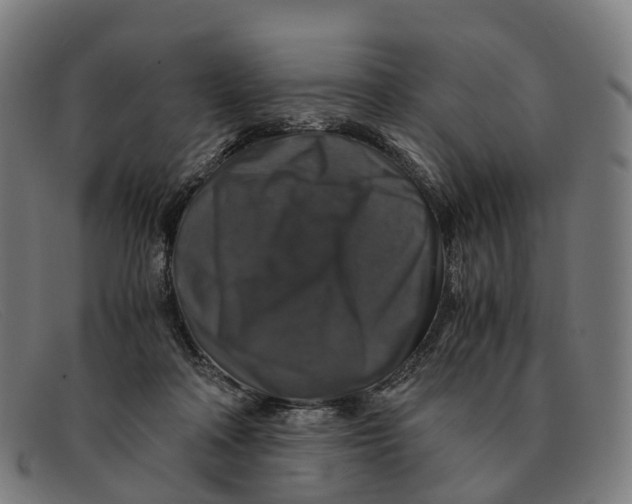 X0000091490314200709131835