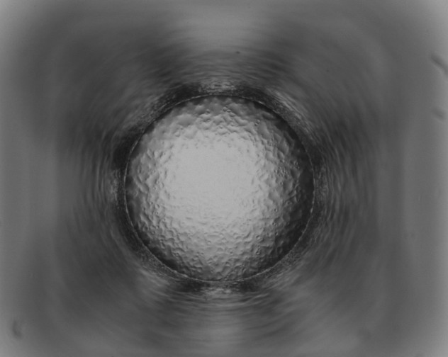 X0000091490315200709131835