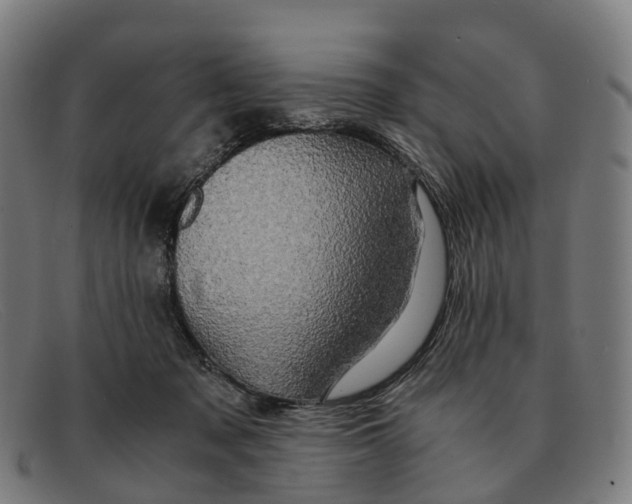 X0000091490317200709131835