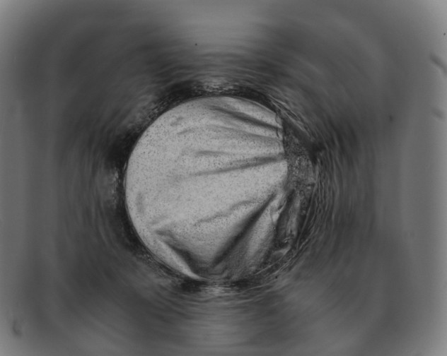 X0000091490319200709131835