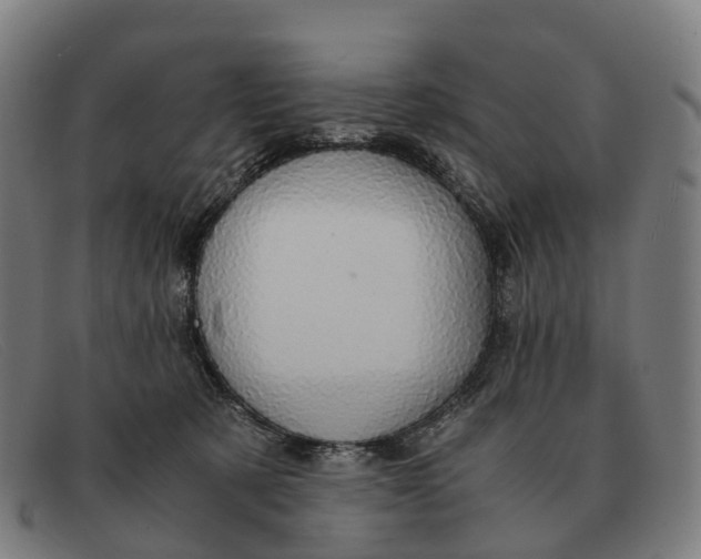 X0000091490321200709131835
