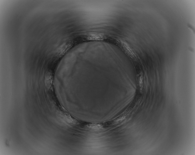 X0000091490322200709131835