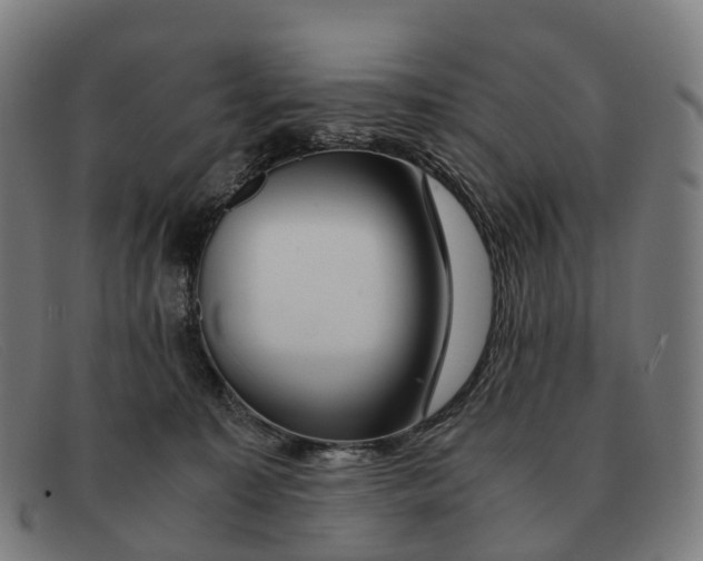 X0000091490323200709131835