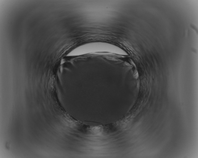 X0000091490325200709131835