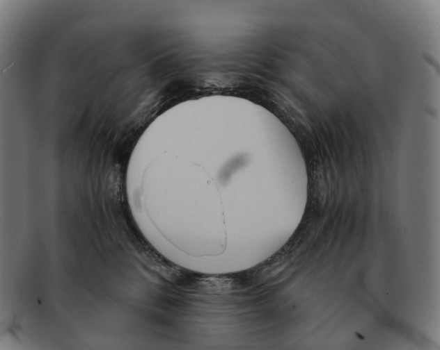X0000091490328200709131835