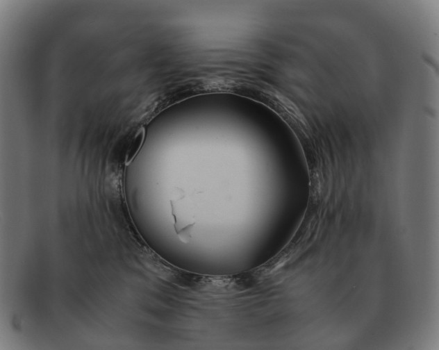 X0000091490329200709131835