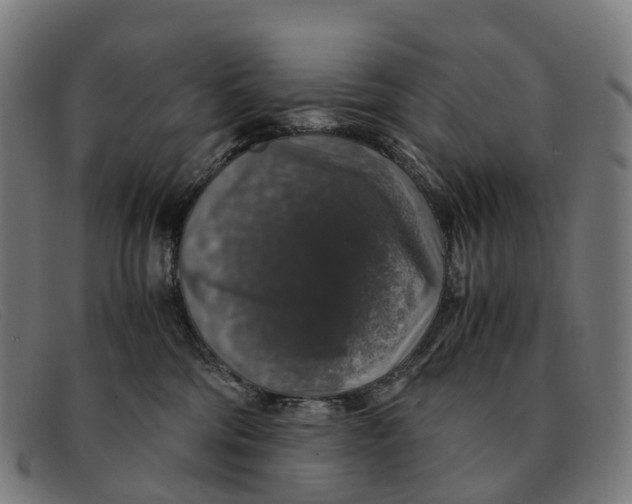 X0000091490330200709131835