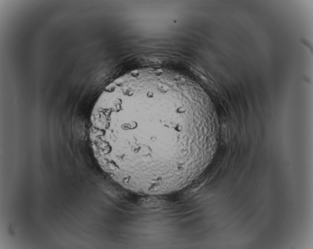 X0000091490331200709131835