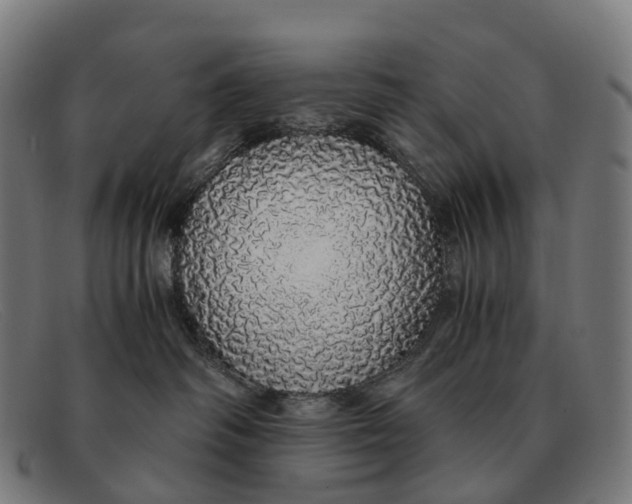X0000091490334200709131835
