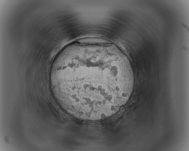 X0000091490337200709131834