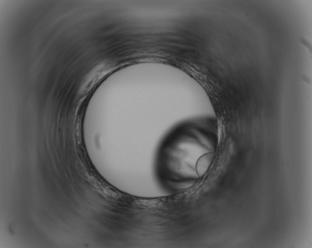 X0000091490339200709131835