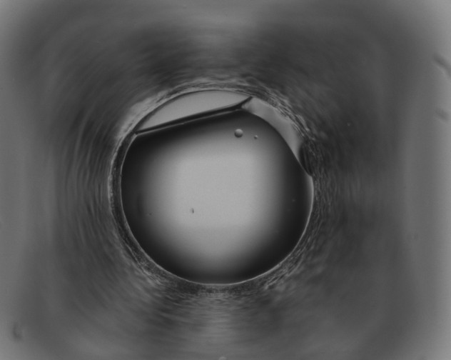 X0000091490340200709131835