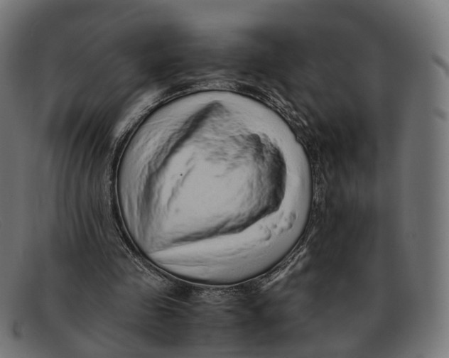 X0000091490341200709131835