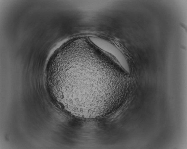 X0000091490342200709131835