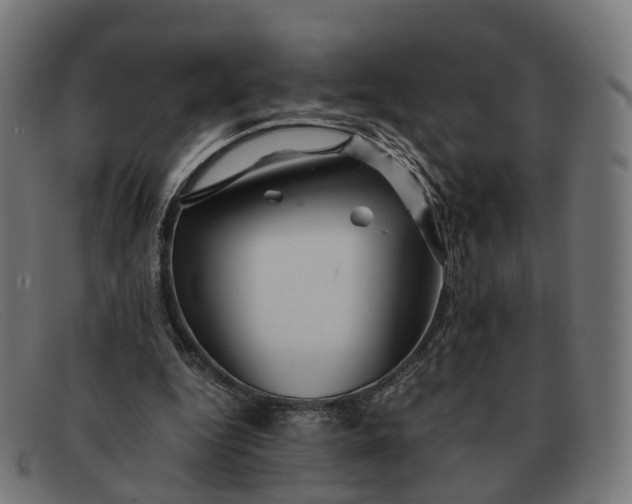 X0000091490344200709131835