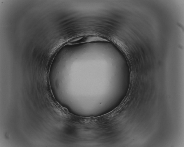 X0000091490345200709131835