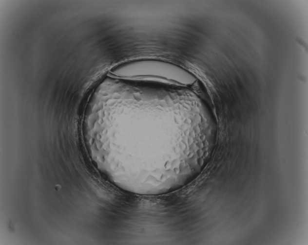 X0000091490346200709131835