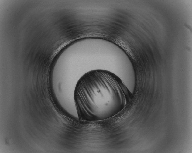X0000091490348200709131835