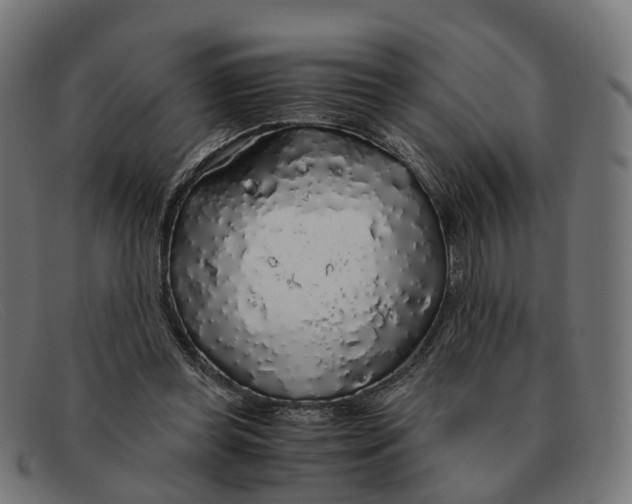X0000091490349200709131835