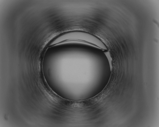 X0000091490350200709131835
