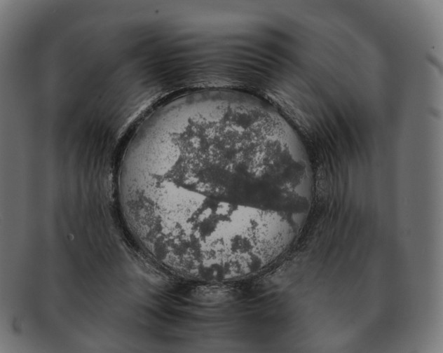 X0000091490351200709131835