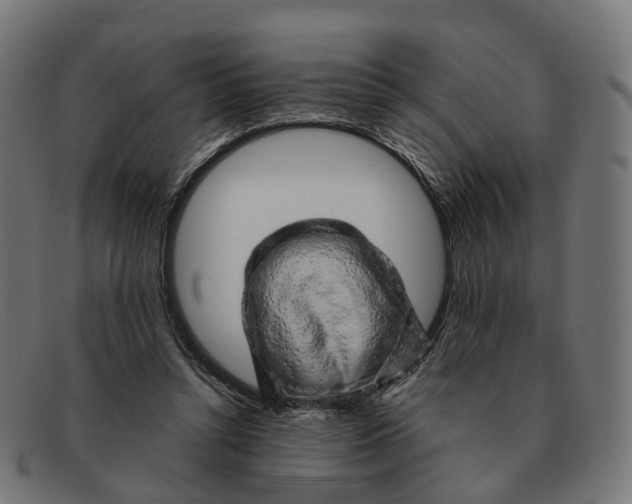 X0000091490352200709131835