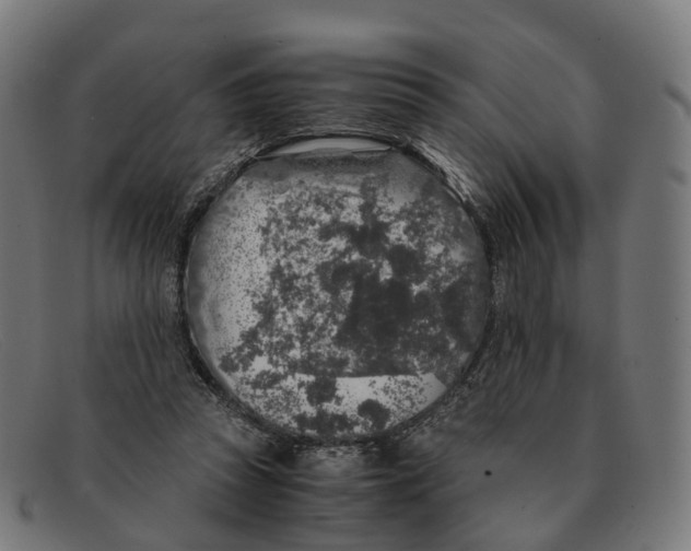 X0000091490353200709131835