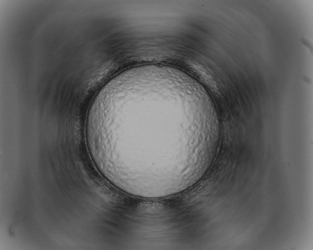 X0000091490354200709131835