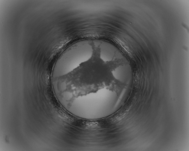 X0000091490355200709131835