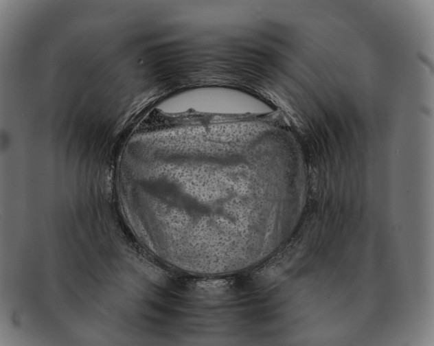 X0000091490357200709131835