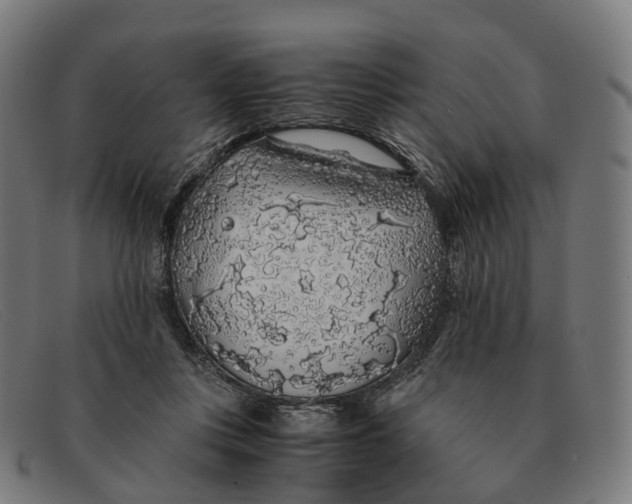 X0000091490359200709131835