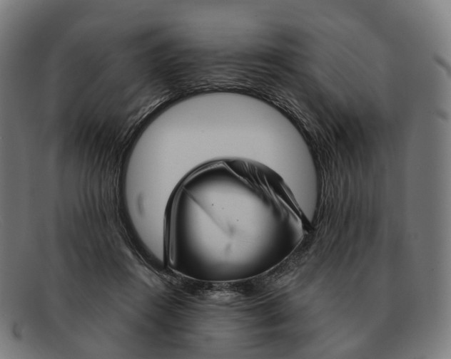 X0000091490360200709131835