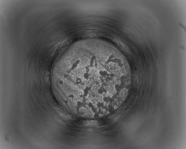 X0000091490361200709131835