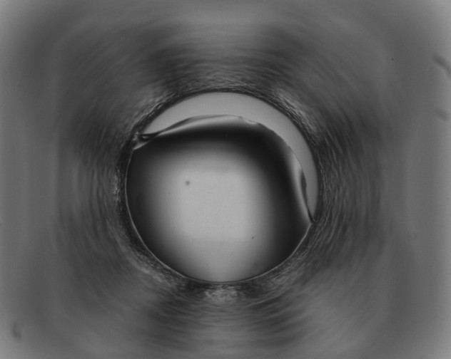 X0000091490362200709131835