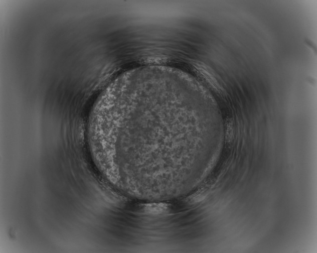X0000091490363200709131835