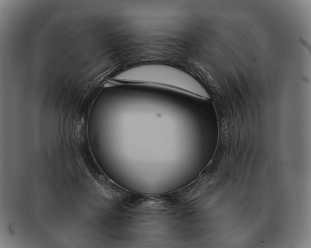 X0000091490364200709131835