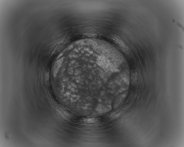 X0000091490365200709131835