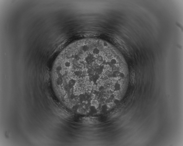 X0000091490367200709131835