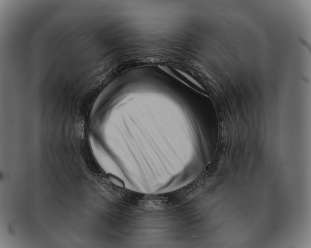 X0000091490368200709131835