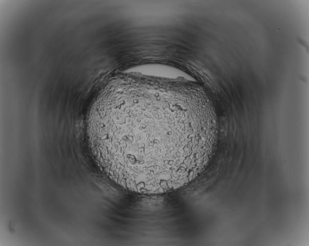 X0000091490369200709131835