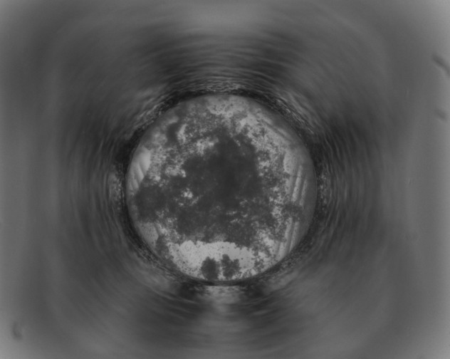 X0000091490371200709131835