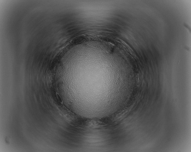 X0000091490372200709131835