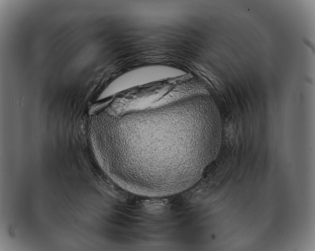 X0000091490373200709131835