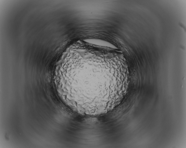 X0000091490374200709131835