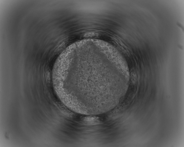 X0000091490375200709131835