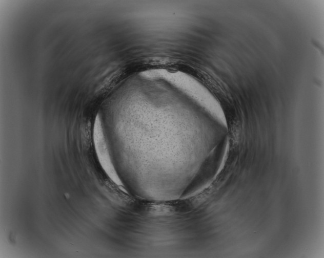 X0000091490376200709131835